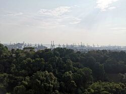 Normanton Park (D5), Apartment #556026201